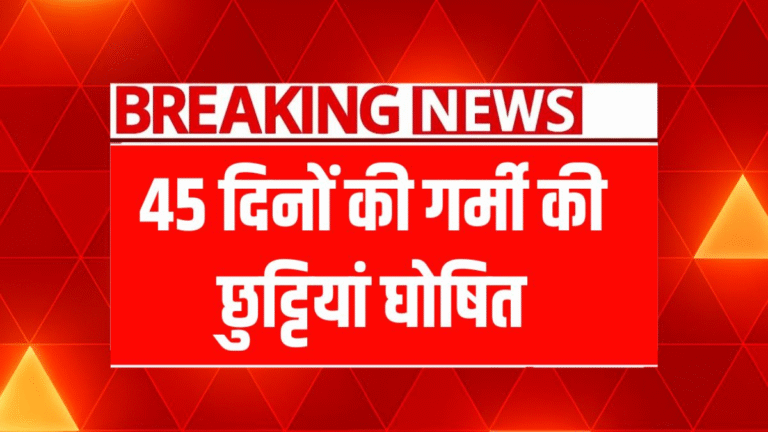 School Summer Holidays 2025