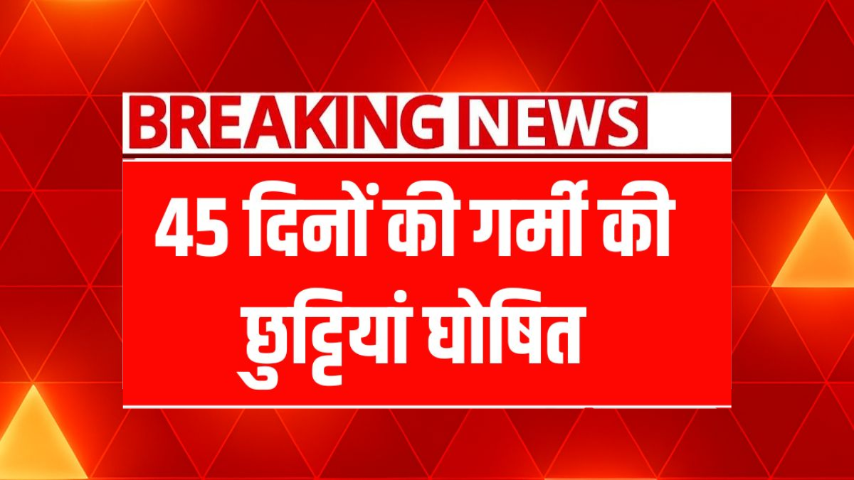 School Summer Holidays 2025